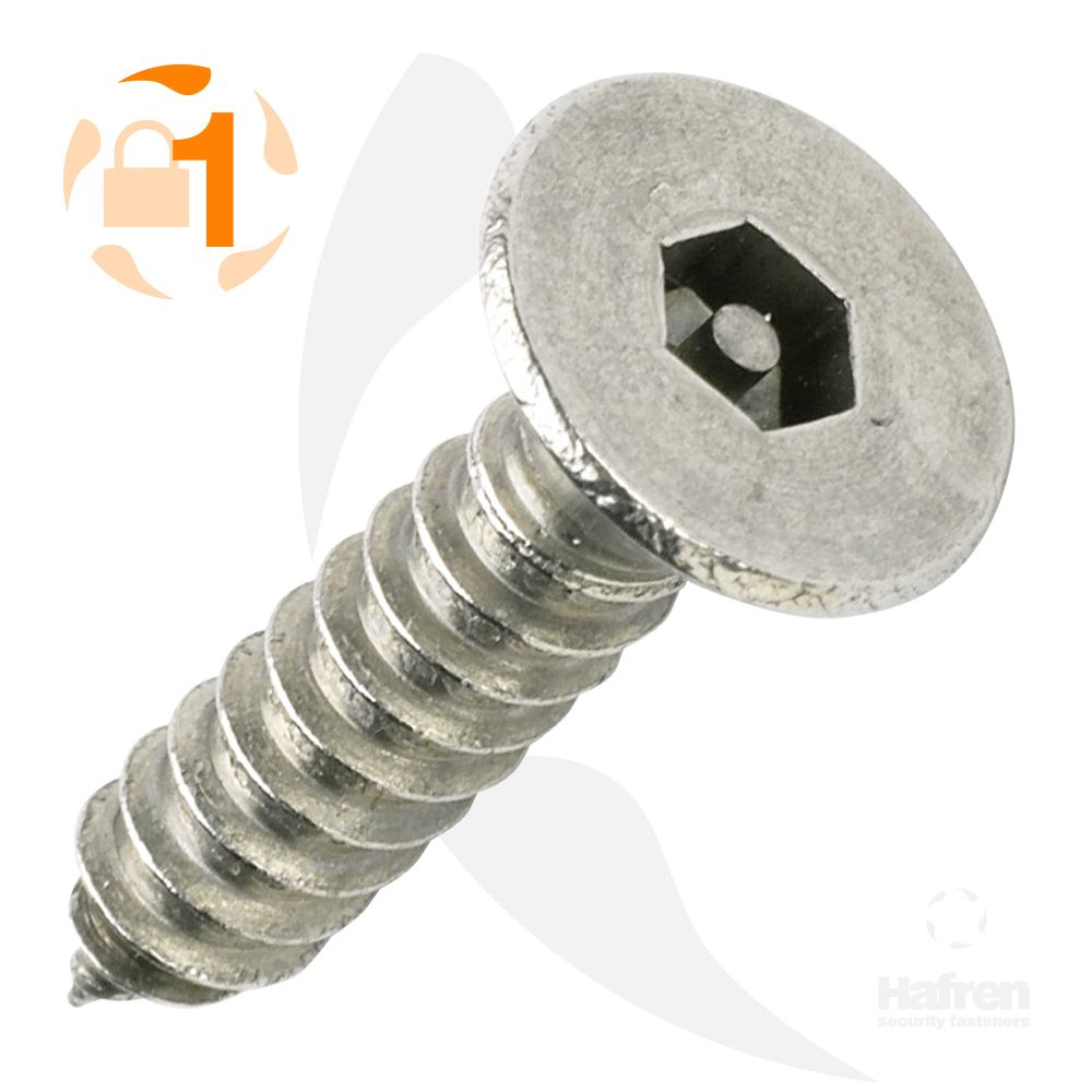 Pin Hex Csk Security Self Tapping Screws