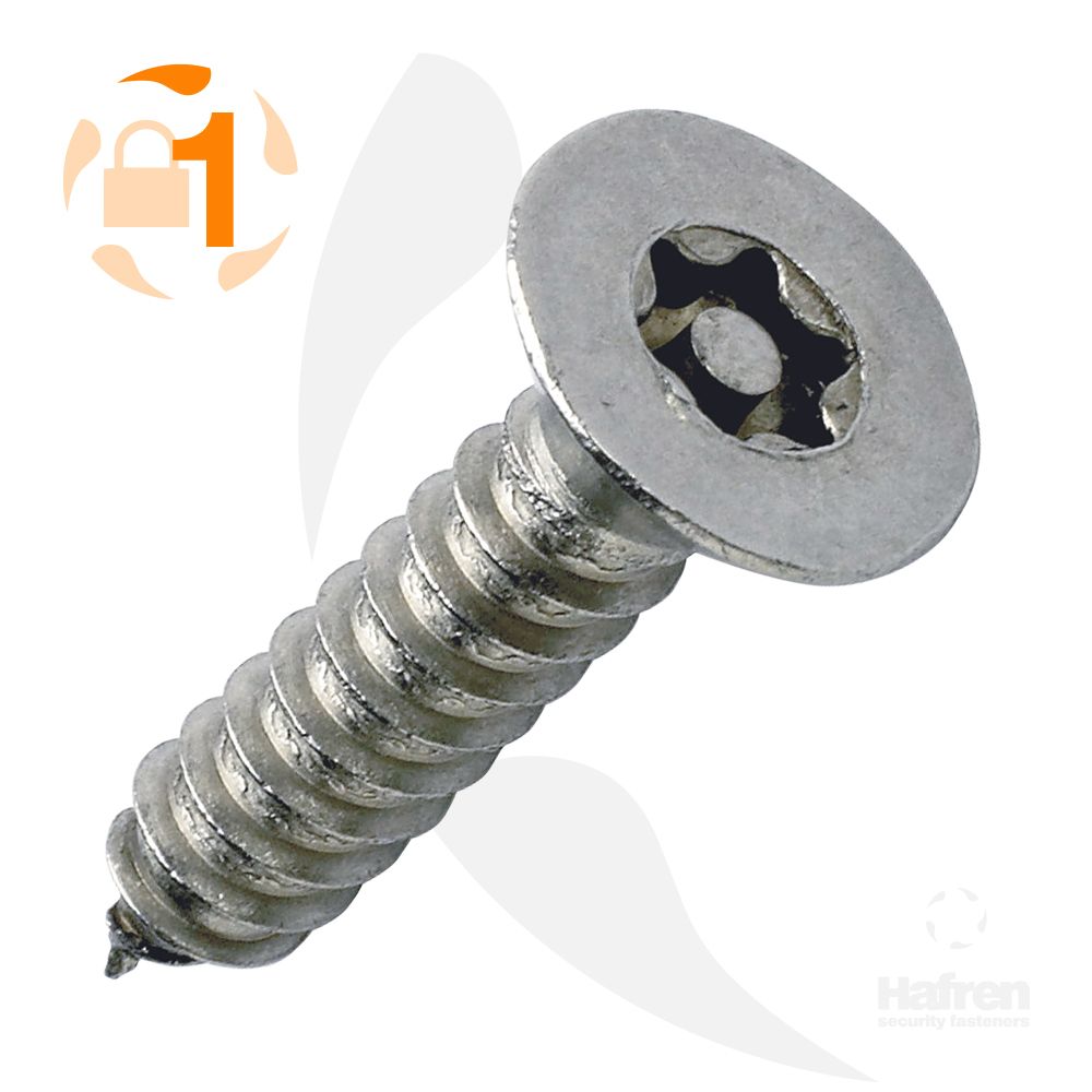 Pin Torx Csk Security Self Tapping Screws